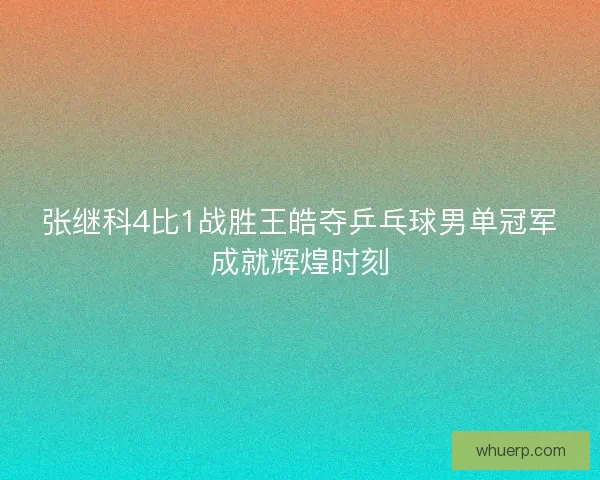 张继科4比1战胜王皓夺乒乓球男单冠军成就辉煌时刻